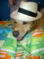 /album/fotogaleria/img-20130203-00995-jpg/
